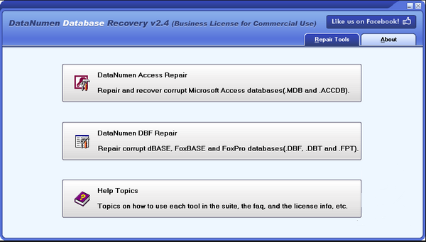 DataNumen Database Recovery(数据库恢复软件)